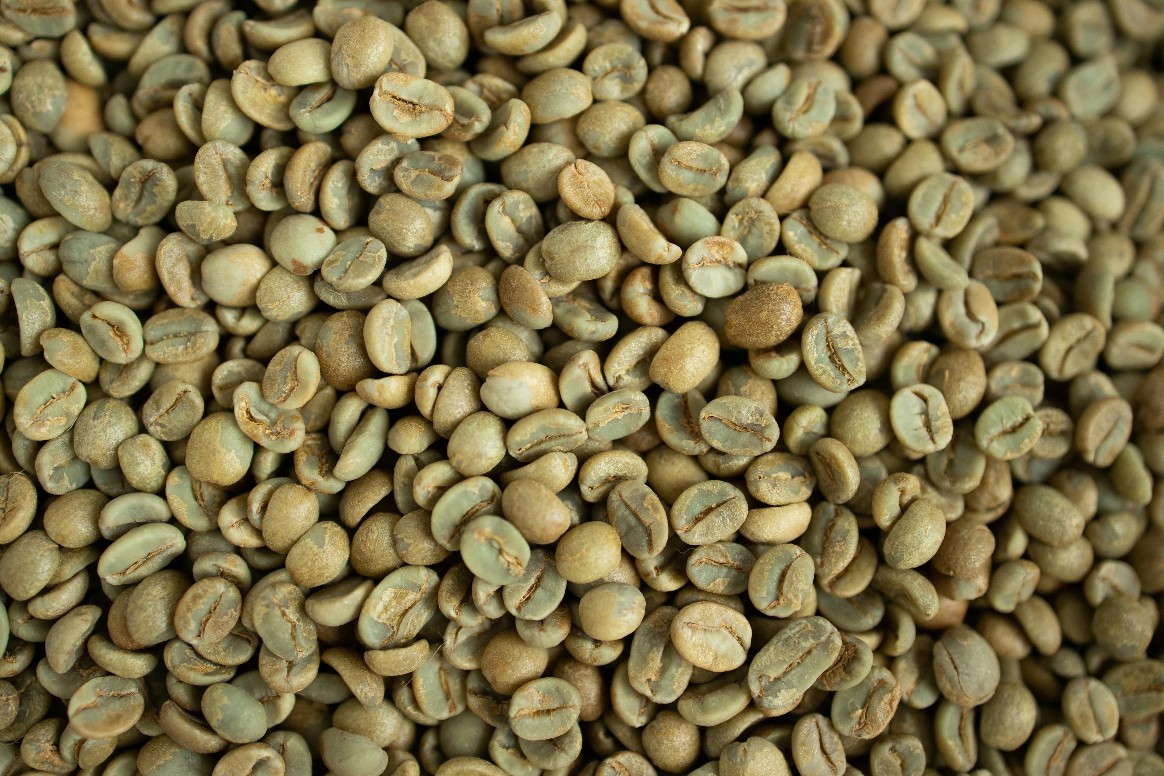 Kenyan AA green coffee