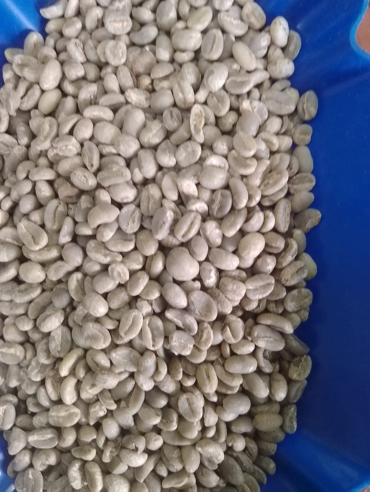 AB coffee grade placeholder