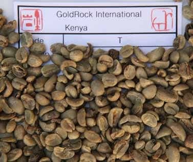 T coffee grade placeholder