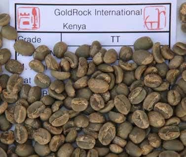 TT coffee grade placeholder